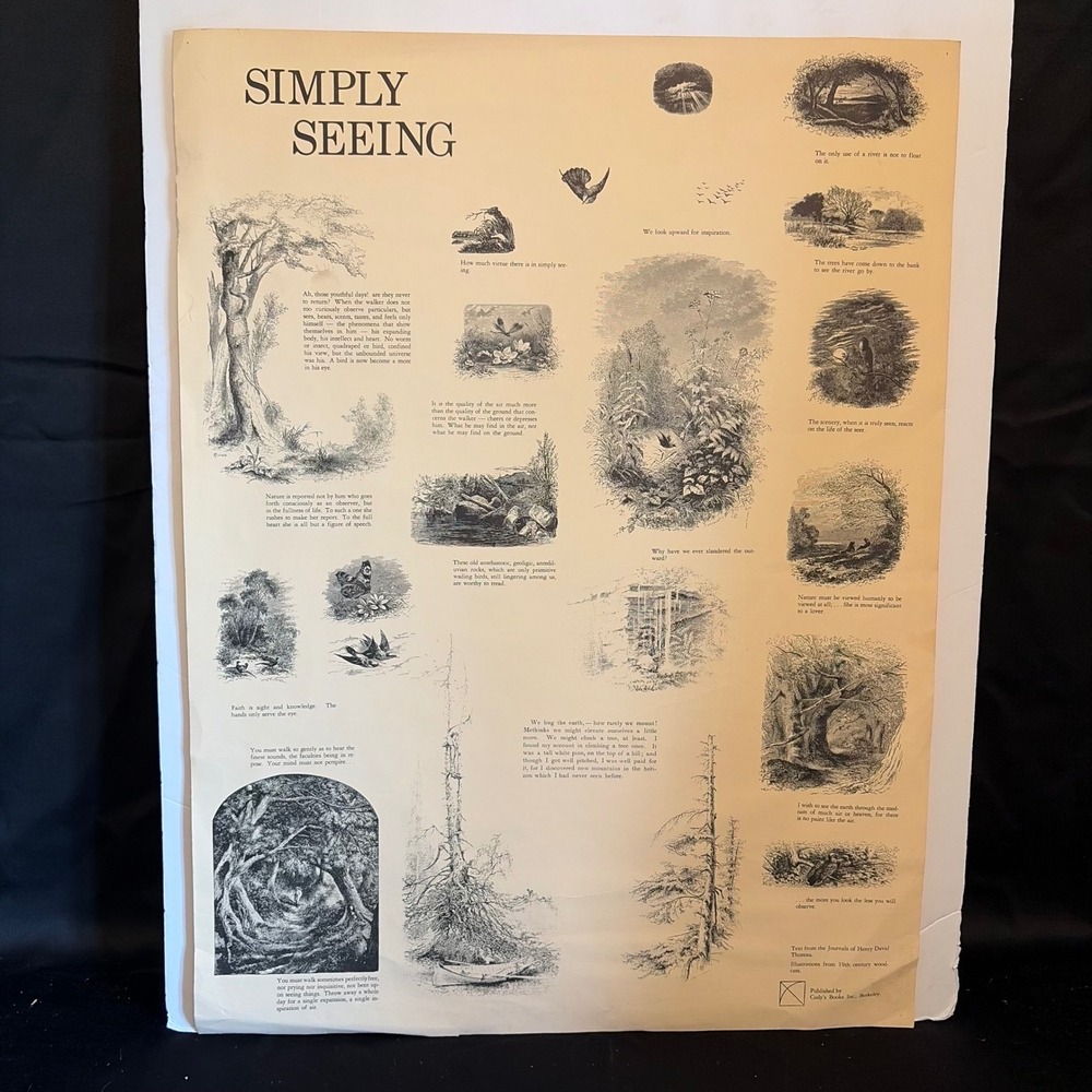 Cody's Books Simply Seeing Thoreau Woodcut Art Print Vintage Berkeley 18x24